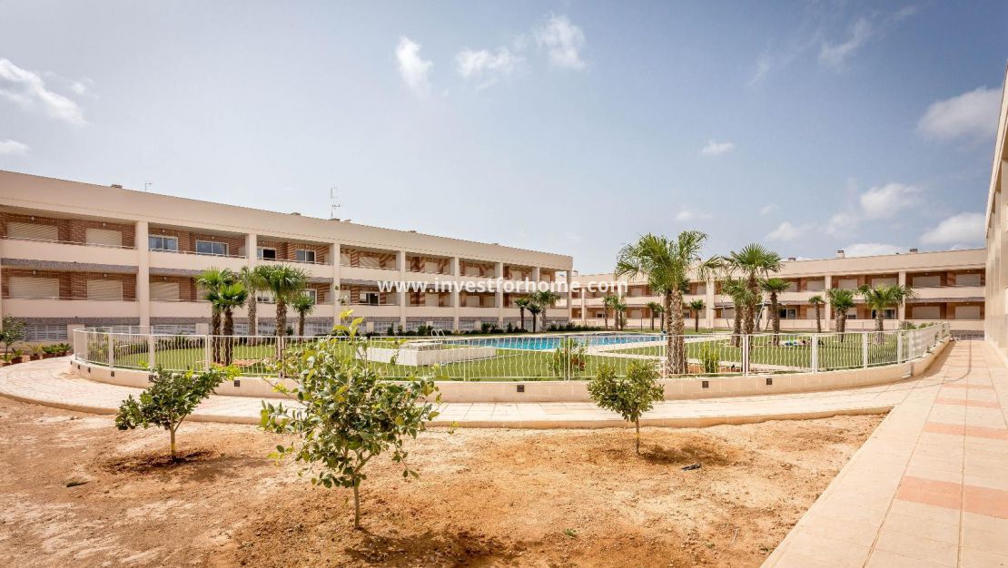 Alicante Santa Pola Costablanca Gran Alacant Elche