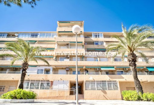 Apartamento - Reventa - Guardamar del Segura - Costa Blanca