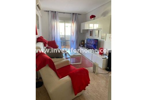 Apartamento - Reventa - Torrevieja - Estacion De Autobuses