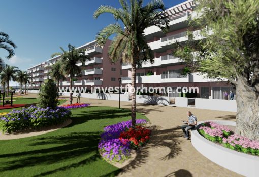 Apartment - New Build - Guardamar del Segura - NB-67993