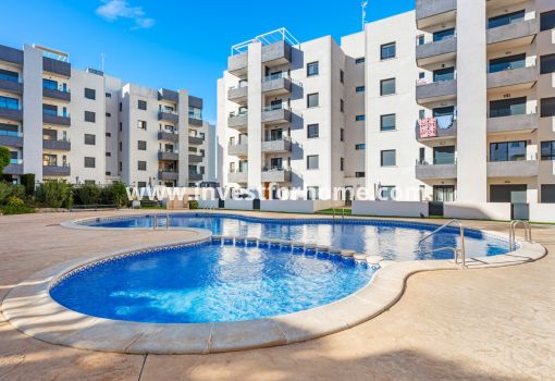 Apartment - Sale - San Miguel de Salinas - Inland