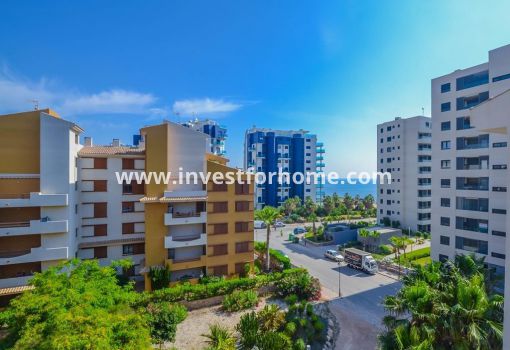 Apartment - Sale - Torrevieja - OC-PP-A01