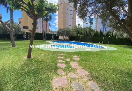 Appartement - Vente - Guardamar del Segura - Costa Blanca