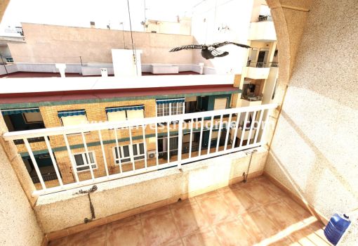 Appartement - Vente - Torrevieja - ND-99980