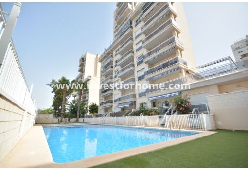 Appartement - Verkoop - Guardamar del Segura - ND-76137