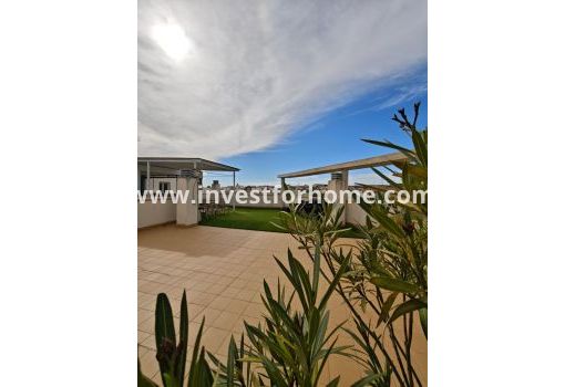 Appartement - Verkoop - San Miguel de Salinas - Pueblo 9