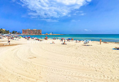 Appartement - Verkoop - Torrevieja - TO-CE-A18