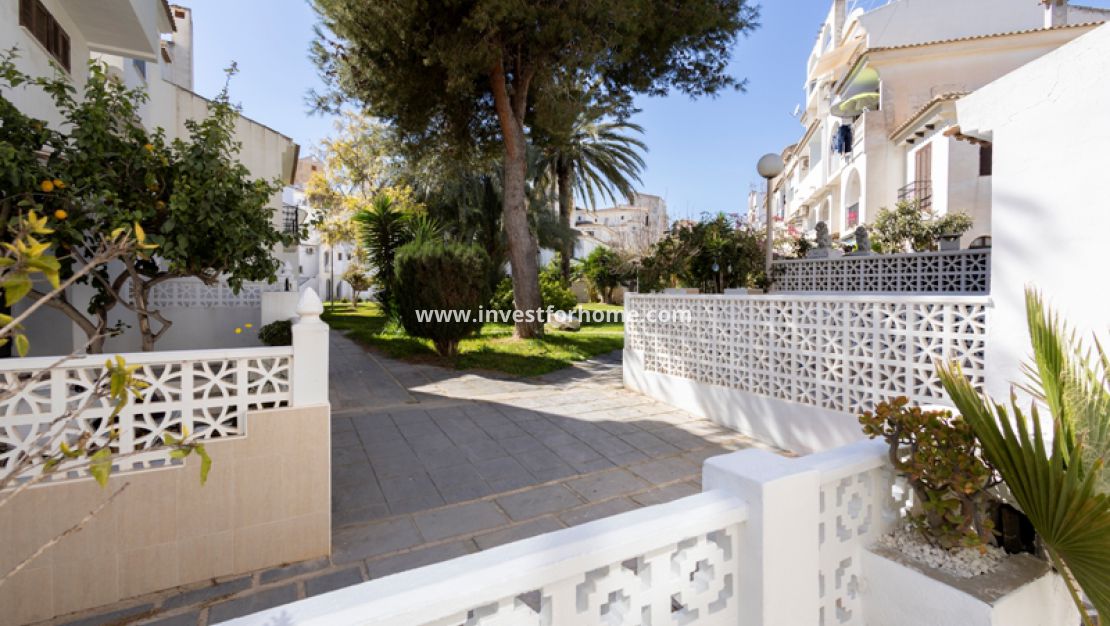 Calas Blancas, Torrevieja, Torreblanca, Torrelamata, Los Angeles, La Mata, 