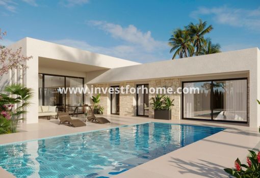 Chalet - Nueva construcción - Aspe - Poligono 19