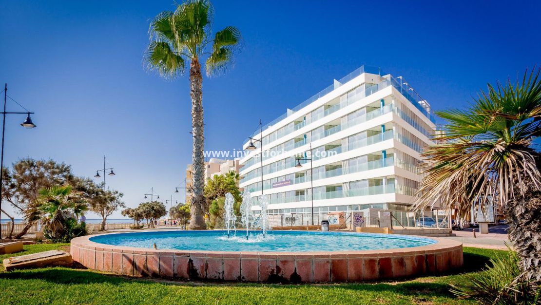 Costa Blanca Alicante Torrevieja Los Locos Del Cura