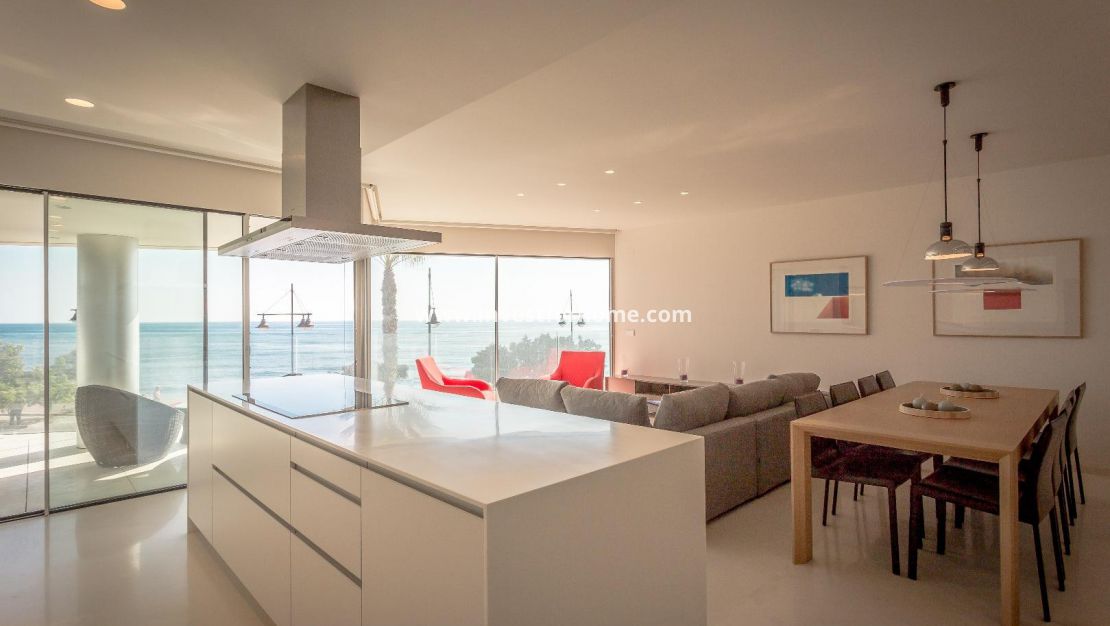 Costa Blanca Alicante Torrevieja Los Locos Del Cura