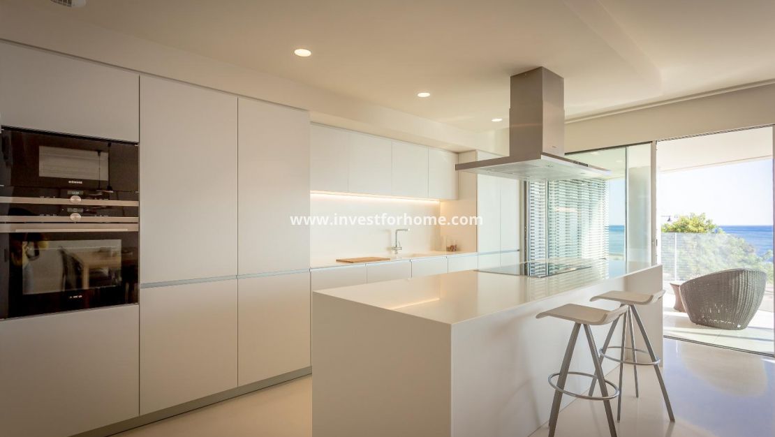 Costa Blanca Alicante Torrevieja Los Locos Del Cura