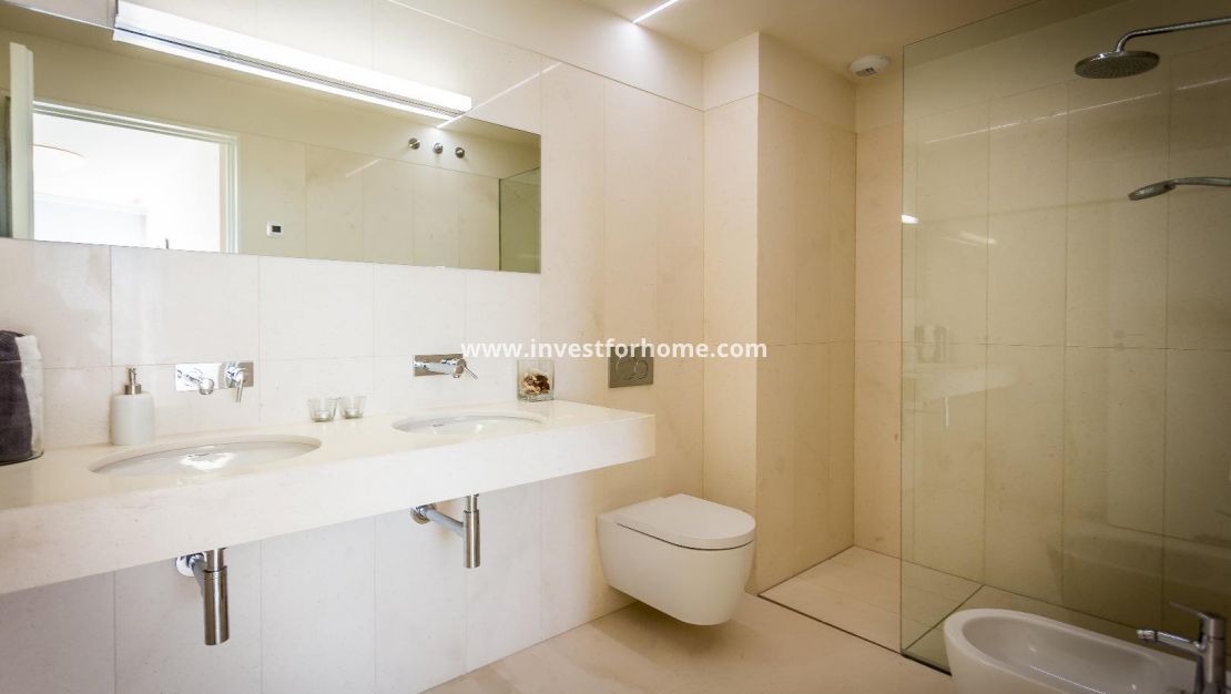 Costa Blanca Alicante Torrevieja Los Locos Del Cura