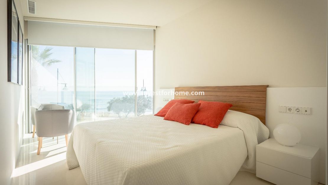 Costa Blanca Alicante Torrevieja Los Locos Del Cura