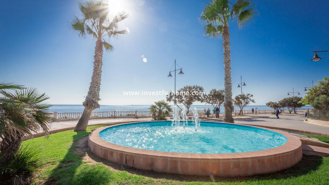 Costa Blanca Alicante Torrevieja Los Locos Del Cura