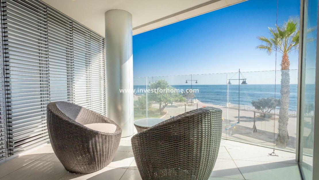 Costa Blanca Alicante Torrevieja Los Locos Del Cura