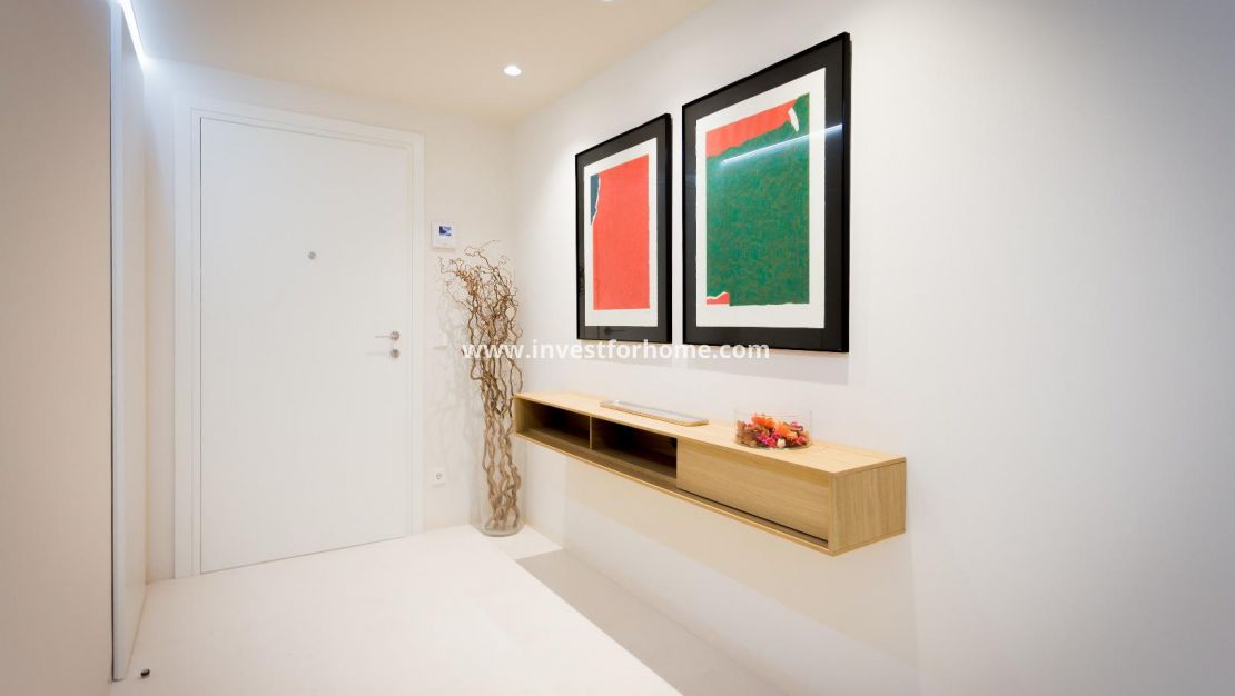 Costa Blanca Alicante Torrevieja Los Locos Del Cura