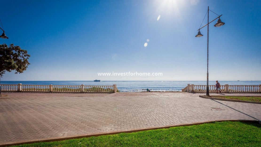 Costa Blanca Alicante Torrevieja Los Locos Del Cura