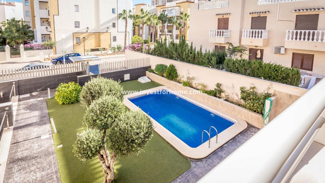 Costa Blanca alicante Torrevieja Los Locos