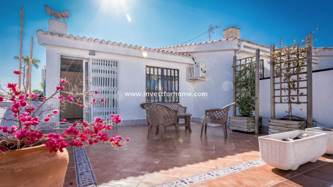 Costa Blanca Torrevieja los Locos