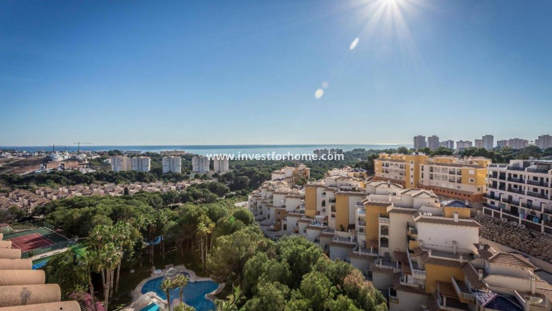 Dehesa de Campoamor campoamor lomas de campoamor La Zenia Orihuela Costa costablanca alicante