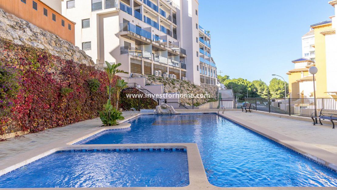 DEHESA DE CAMPOAMOR, ORIHUELA COSTA, ORIHUELA, PLAYA DE CAMPOAMOR, MIL PALMERAS, LOMAS DE CAMPOAMOR, CABO ROIG 