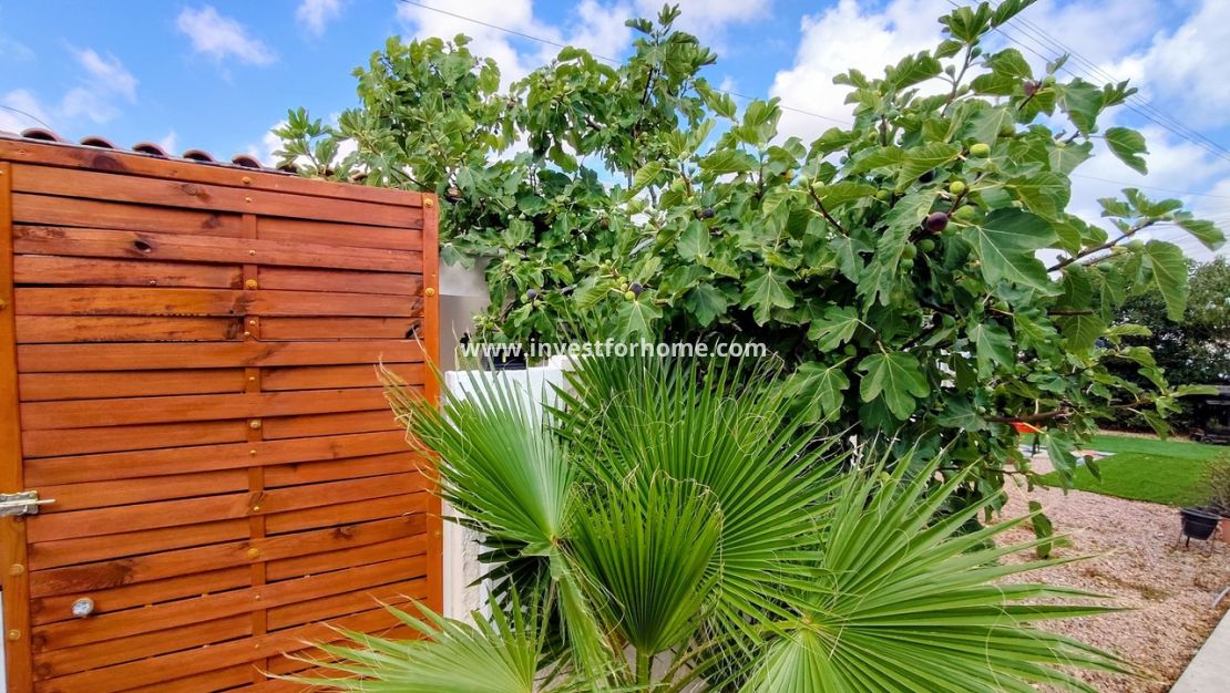 Försäljning - Bungalow - Torrevieja - Costa Blanca