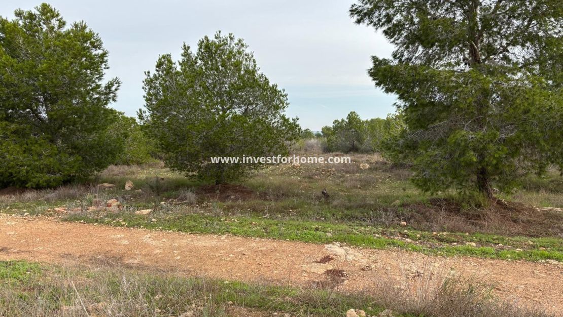 Försäljning - Bungalow - Torrevieja - La Siesta - El Salado - Torreta