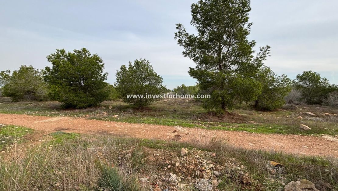 Försäljning - Bungalow - Torrevieja - La Siesta - El Salado - Torreta