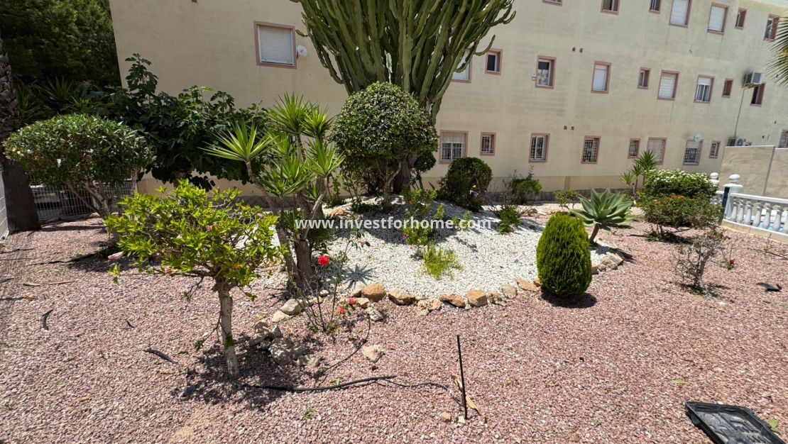 Försäljning - Bungalow - Torrevieja - La Siesta - El Salado - Torreta