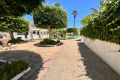 Försäljning - Bungalow - Torrevieja - Torrelamata - La Mata