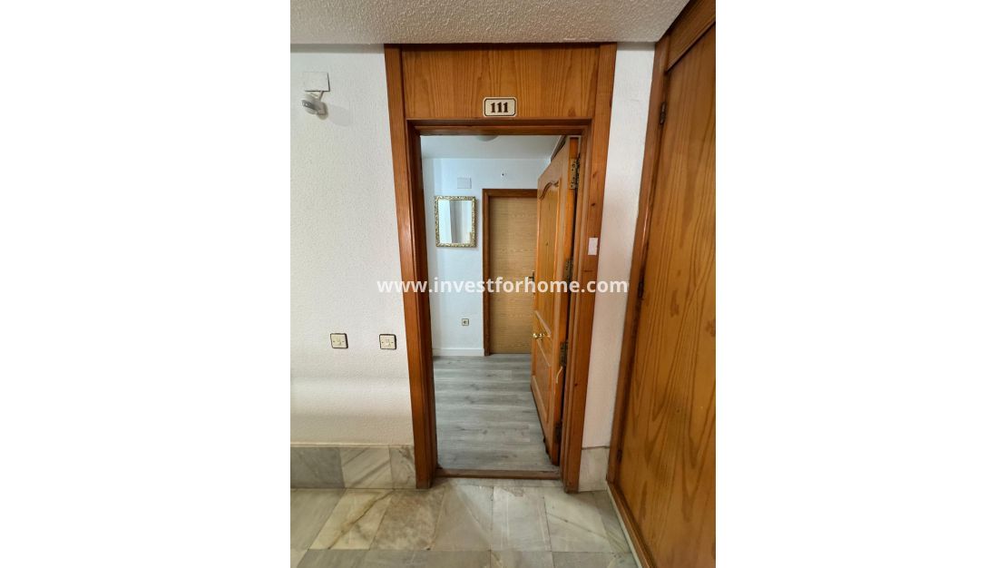 Försäljning - Estudio - Torrevieja - Playa de Los Locos-Curva del Palangre