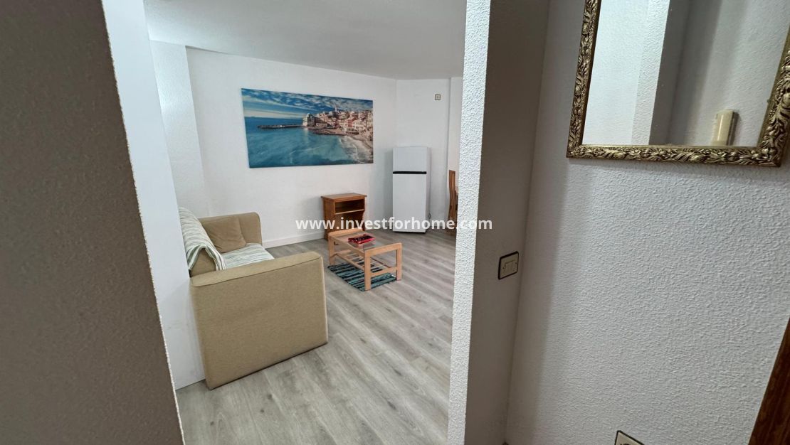 Försäljning - Estudio - Torrevieja - Playa de Los Locos-Curva del Palangre