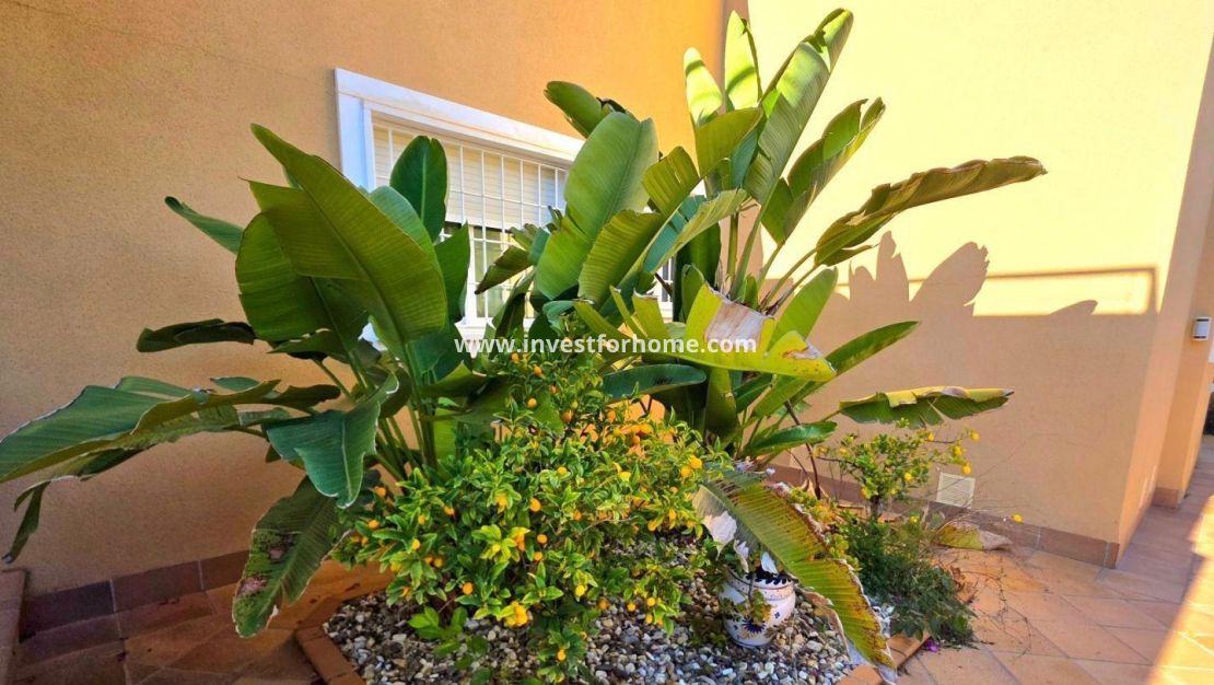 Försäljning - Hus - Orihuela Costa - Altos De Campoamor