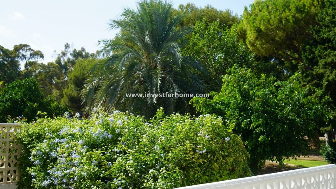 Försäljning - Hus - Orihuela Costa - Costa Blanca