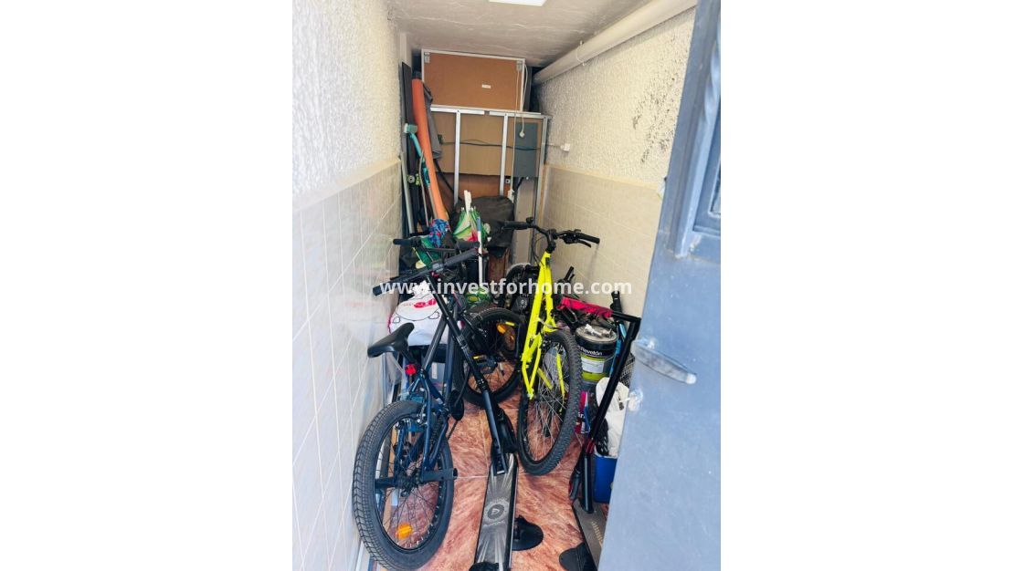 Försäljning - Hus - San Miguel de Salinas - Inland