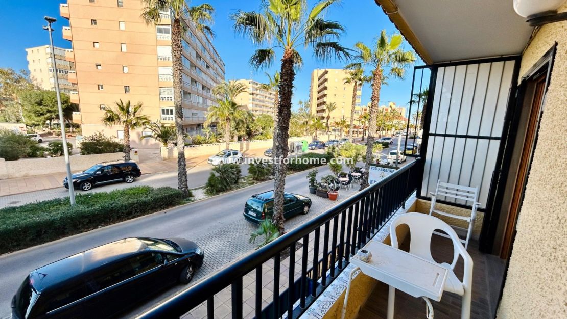 Försäljning - Hus - Torrevieja - Costa Blanca
