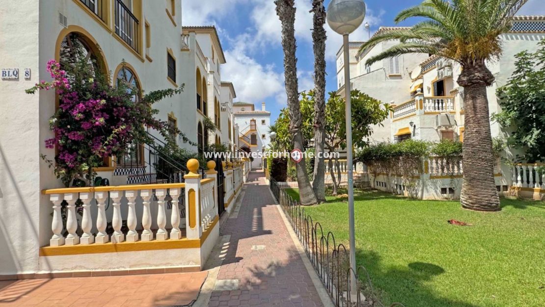 Försäljning - Hus - Torrevieja - Costa Blanca