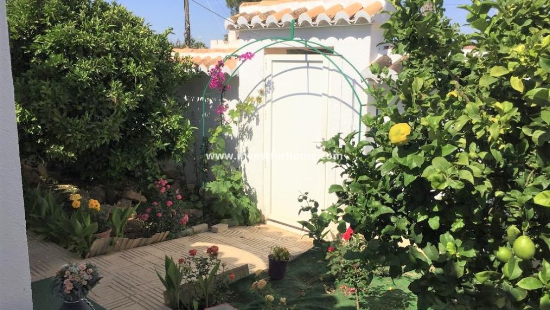 Försäljning - Hus - Torrevieja - Costa Blanca