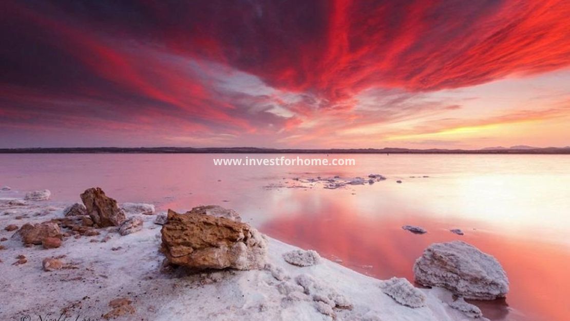 Försäljning - Hus - Torrevieja - La Siesta-El Chaparral