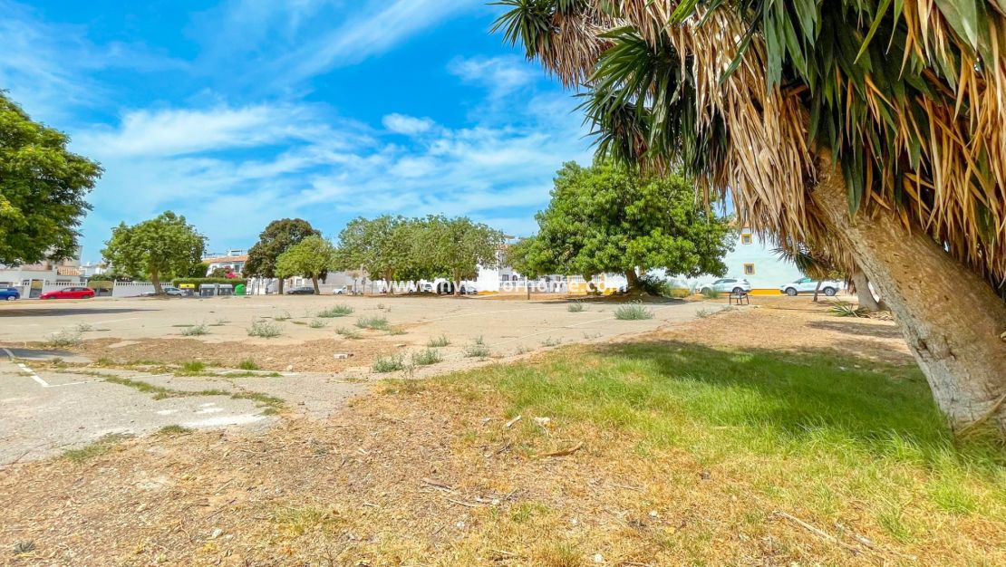 Försäljning - Hus - Torrevieja - La Siesta