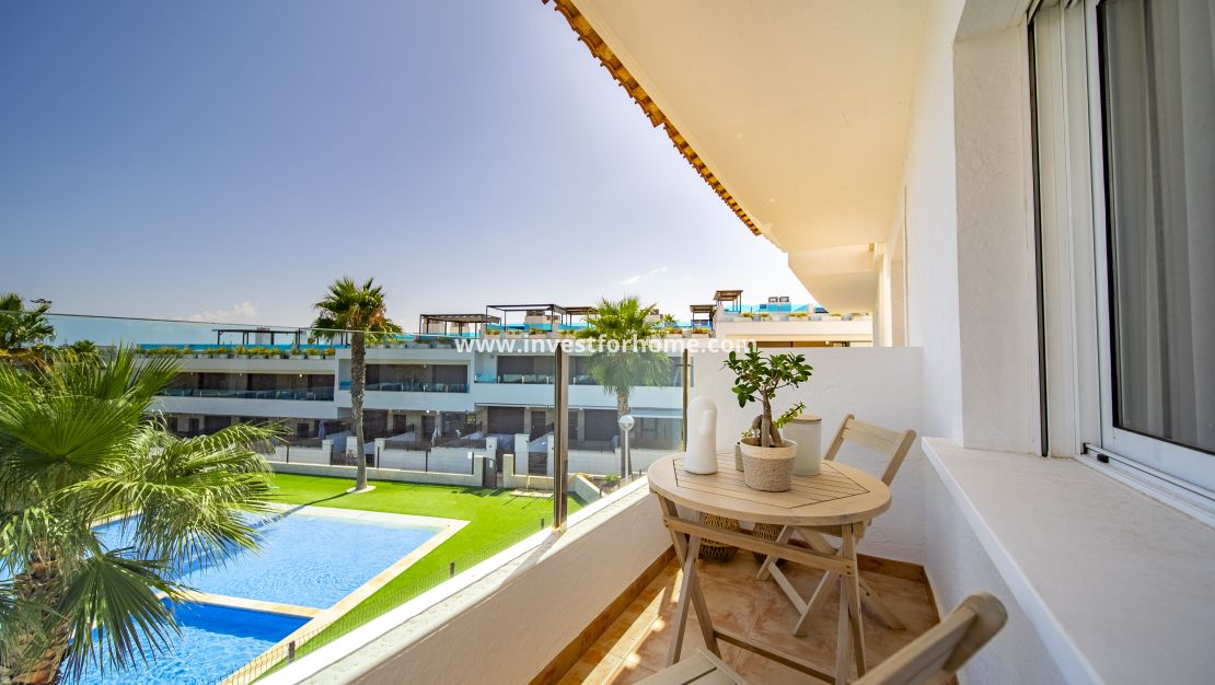 Försäljning - Hus - Torrevieja - Los Altos