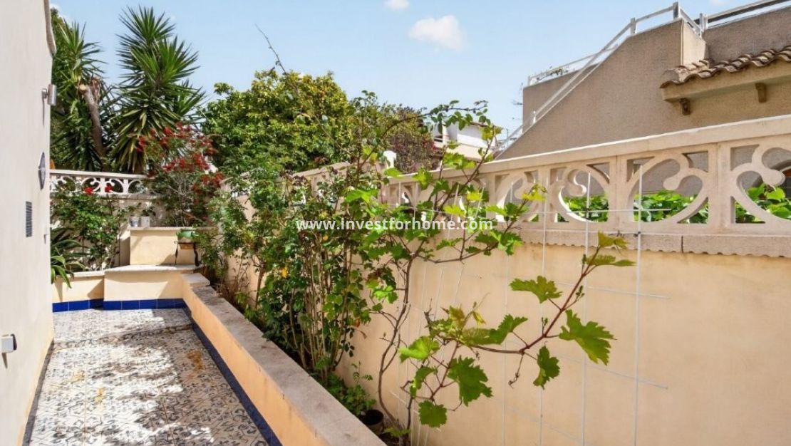 Försäljning - Hus - Torrevieja - Los Altos
