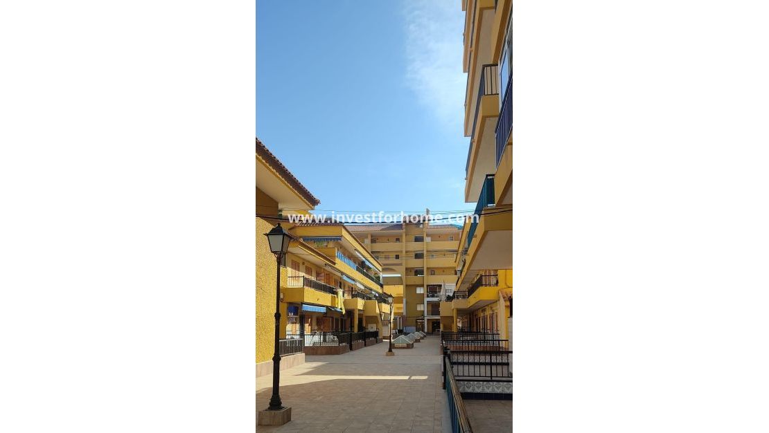 Försäljning - Hus - Torrevieja - Los Europeos