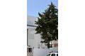 Försäljning - Hus - Torrevieja - Playa de los Locos