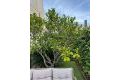 Försäljning - Hus - Torrevieja - Punta prima