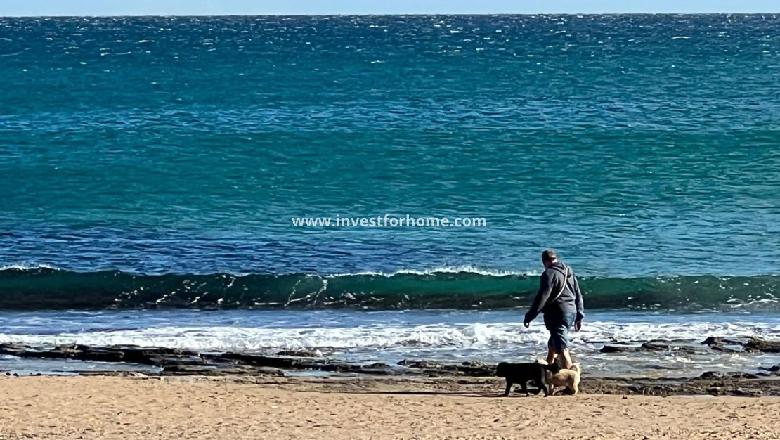 Försäljning - Hus - Torrevieja - Torrelamata - La Mata