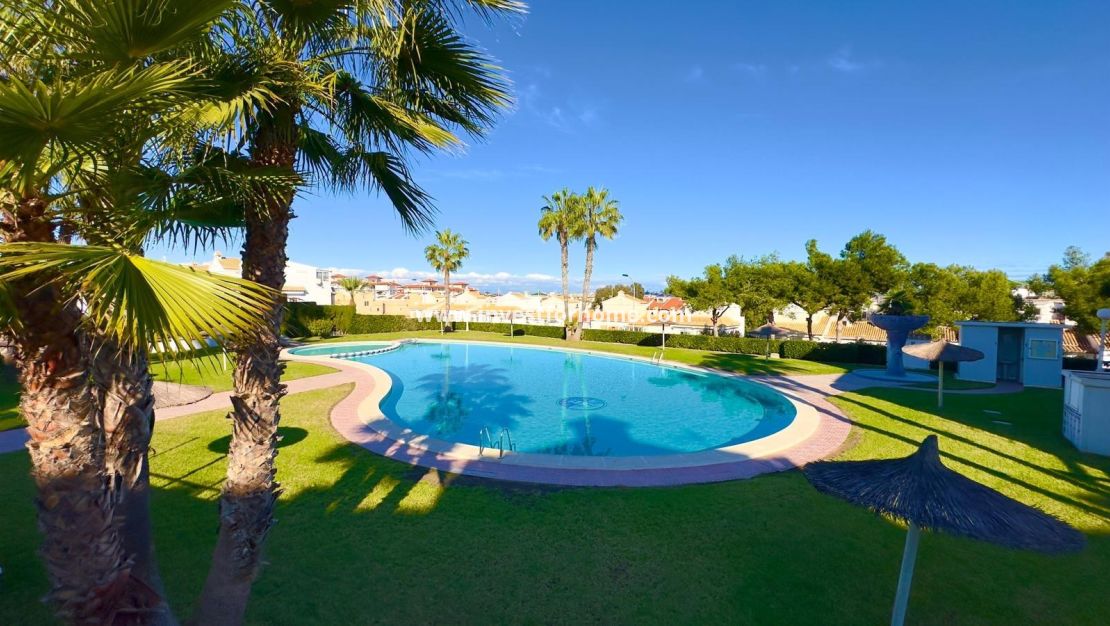 Försäljning - Hus - Torrevieja - Torrelamata - La Mata