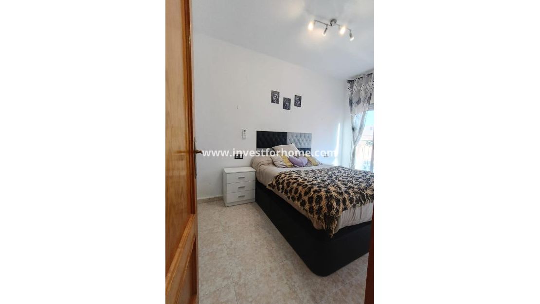 Försäljning - Hus - Torrevieja - Torreta Florida