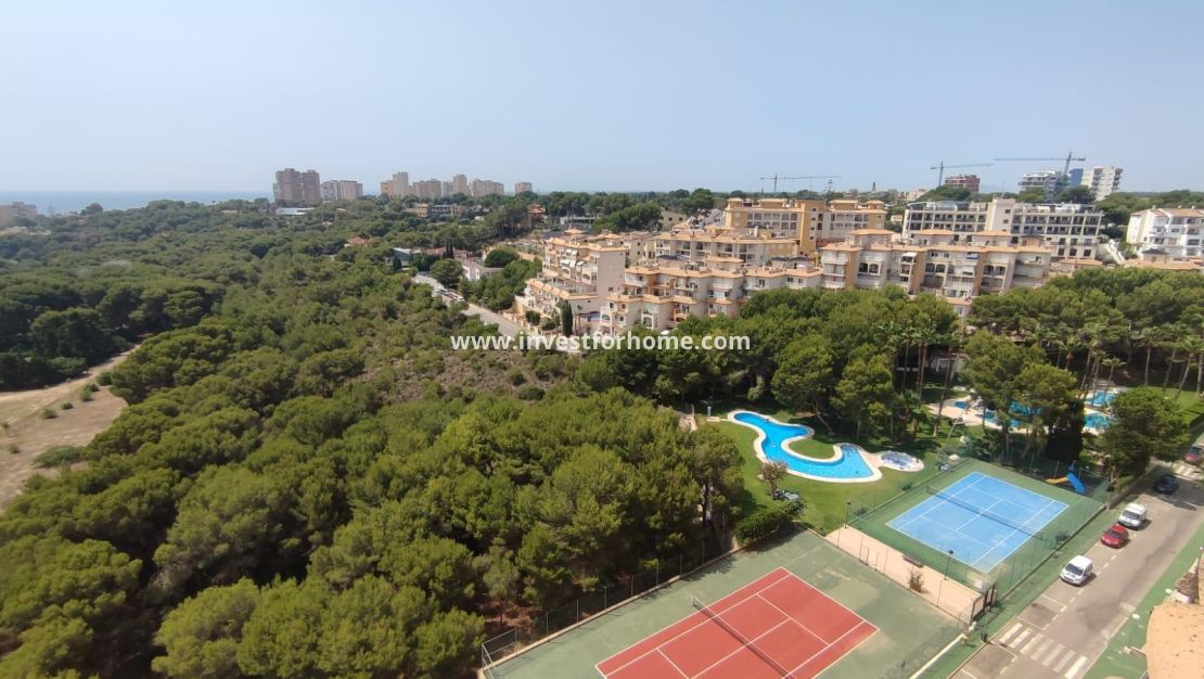 Försäljning - Lägenhet - Orihuela Costa - Altos De Campoamor